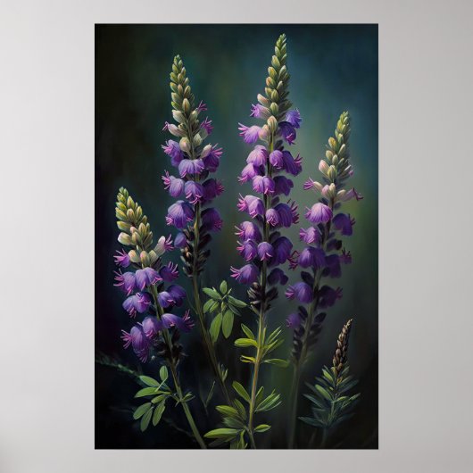 Paarse Lupine Flower Art Print Poster (Voorkant)