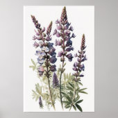 Paarse Lupine Flower Art Print Poster (Voorkant)