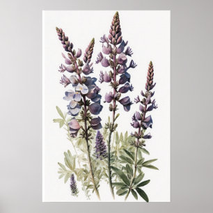 Paarse Lupine Flower Art Print Poster