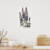 Paarse Lupine Flower Art Print Poster (Keuken)