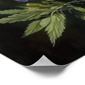 Paarse Lupine Flower Art Print Poster (Hoek)