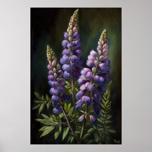 Paarse Lupine Flower Art Print Poster (Voorkant)