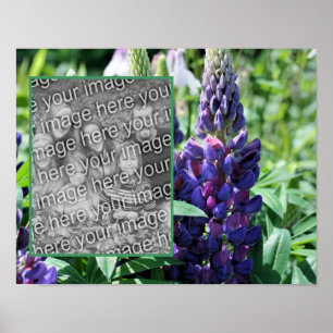 Paarse Lupine Flower Lijst Uw foto toevoegen Poster