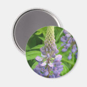 Paarse Lupine Flowers Magnet (Voorkant / Achterkant)