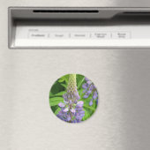 Paarse Lupine Flowers Magnet (Insitu (Vaatwasser))