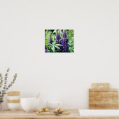 Paarse Lupine Flowers Poster (Keuken)
