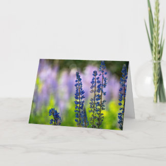 Paarse Lupine Lege Wenskaart Feestdagen Kaart