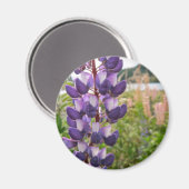 Paarse lupinen magneet (Voorkant / Achterkant)