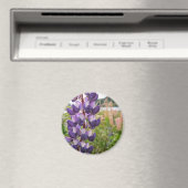 Paarse lupinen magneet (Insitu (Vaatwasser))