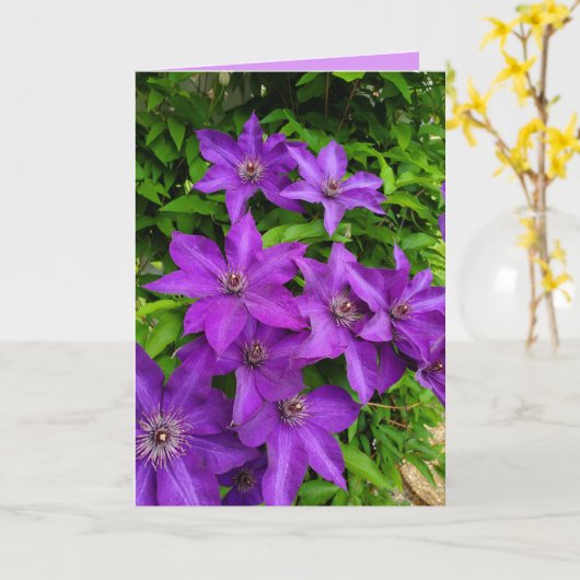 Paarse Lupines Floral Thinking van jou Kaart (Gele Bloem)