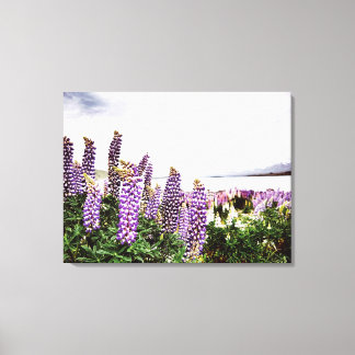 Paarse Lupins Flowers : Nieuw-Zeeland Canvas Afdruk