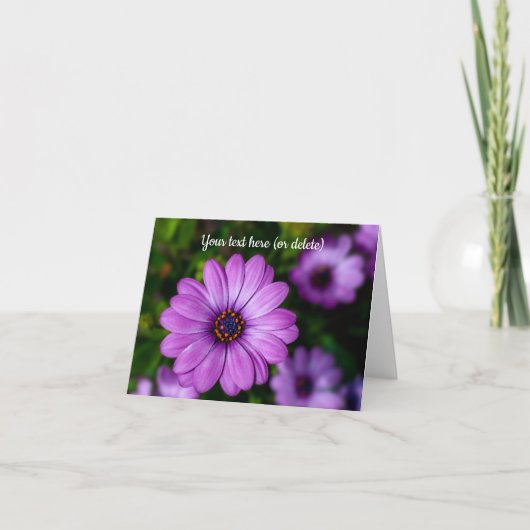 Paarse Madelief bloem Wenskaart Kaart (Voorkant)