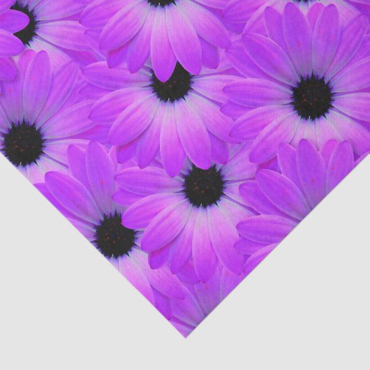 Paarse madeliefje bloem bloemig schattige zomer tissuepapier (Detail)