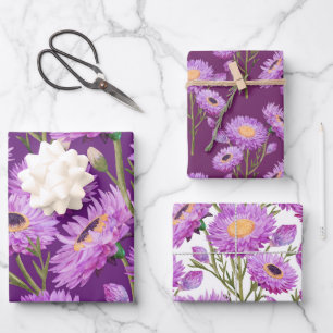 Paarse Madeliefjes Bloemen Bloei Inpakpapier Vel