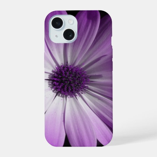 Paarse Madeliefjesbloem iPhone 15 Case (Achterkant)