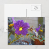 Paarse Maggie Products Briefkaart (Voorkant / Achterkant)