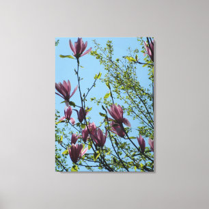 paarse magnolia bloemen in de blauwe lucht. canvas afdruk