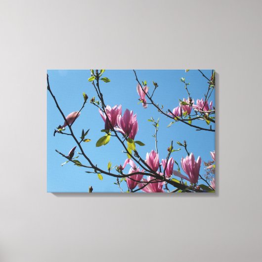 paarse magnolia - bloemen in de blauwe lucht canvas afdruk (Voorkant)
