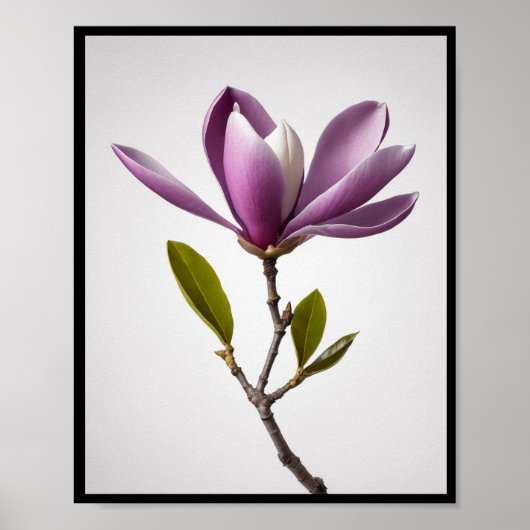 Paarse magnoliabloem, Magnolia felix Wall Poster (Voorkant)