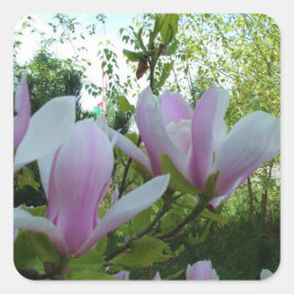 paarse magnolibloemen met bronlicht vierkante sticker