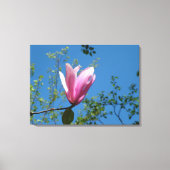 paarse magnoliebloem in de blauwe lucht. canvas afdruk (Voorkant)