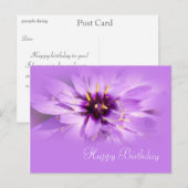 paarse maisbloem, geboortedag briefkaart (Voorkant / Achterkant)