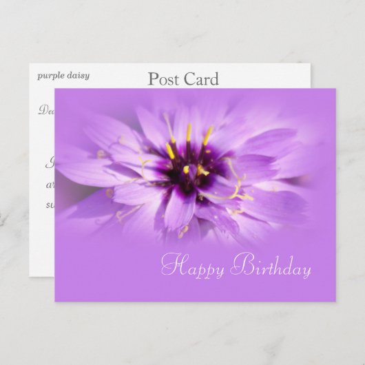 paarse maisbloem, geboortedag briefkaart (Voorkant / Achterkant)