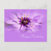 paarse maisbloem, geboortedag briefkaart (Voorkant)