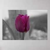 Paarse Majesteit Poster (Voorkant)