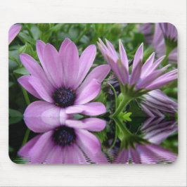 paarse margriet bloemen muismat