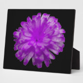 Paarse Marigold Plaque Fotoplaat (Zijkant)