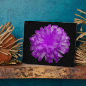 Paarse Marigold Plaque Fotoplaat (Zijkant)