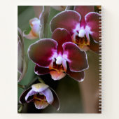 Paarse maroon Orchid Blossom Botanische Floral Notitieboek (Achterkant)