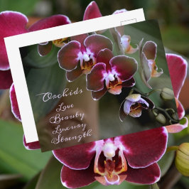 Paarse Maroon Orchidee Bloemen Fotografische Bloem Briefkaart