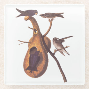 Paarse Martin Audubon Bird Family and Gourd Home Glazen Onderzetter