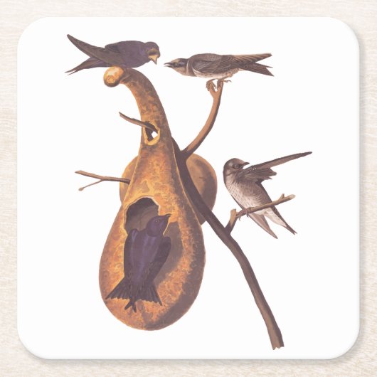 Paarse Martin Audubon Bird Family and Gourd Home Kartonnen Onderzetters (Voorkant)