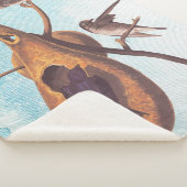 Paarse Martin Audubon Bird Family and Gourd Home Sherpa Deken (3/4)