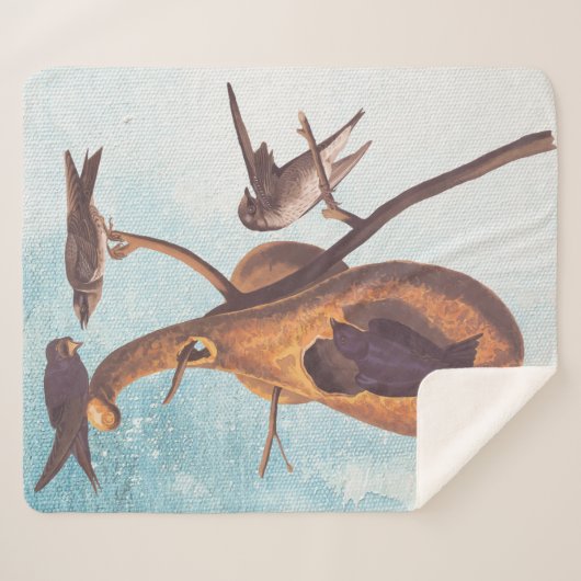 Paarse Martin Audubon Bird Family and Gourd Home Sherpa Deken (Voorkant (horizontaal))