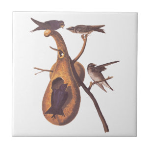 Paarse Martin Audubon Bird Family and Gourd Home Tegeltje