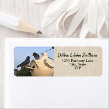 Paarse Martin Birds Natuur Return Address Birding