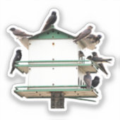 Paarse Martin-Huis Sticker (Voorkant)
