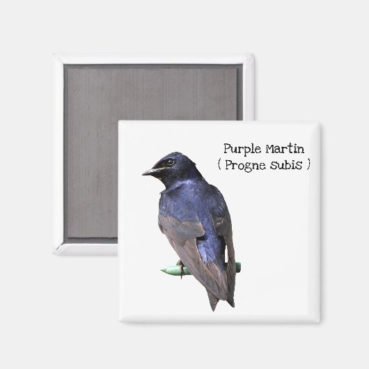 Paarse Martin Magneet (Voorkant / Achterkant)