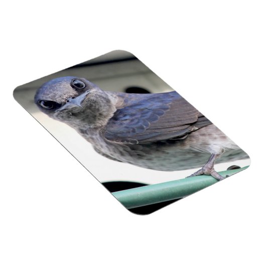 Paarse Martin Magneet (Rechterzijde)