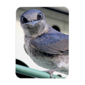 Paarse Martin Magneet (Verticaal)