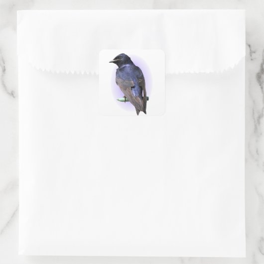 Paarse Martin Male Vierkante Sticker (Tas)