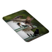 Paarse Martin Mates Magneet (Rechterzijde)