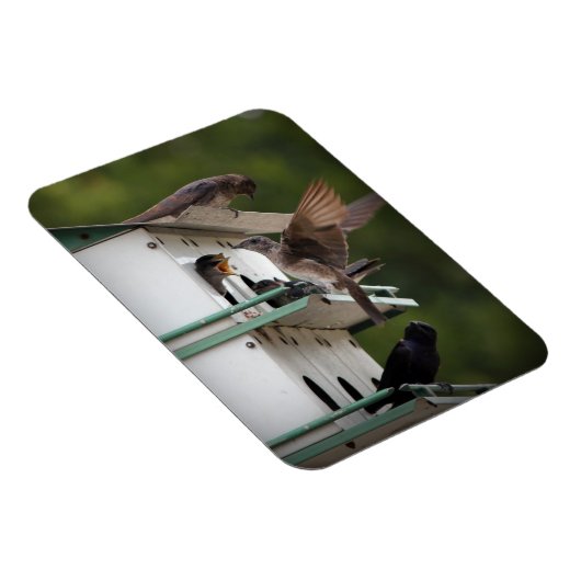 Paarse Martin Mates Magneet (Rechterzijde)