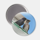 Paarse Martin Mates Magneet (Voorkant / Achterkant)