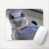 Paarse Martin Muismat (Met muis)