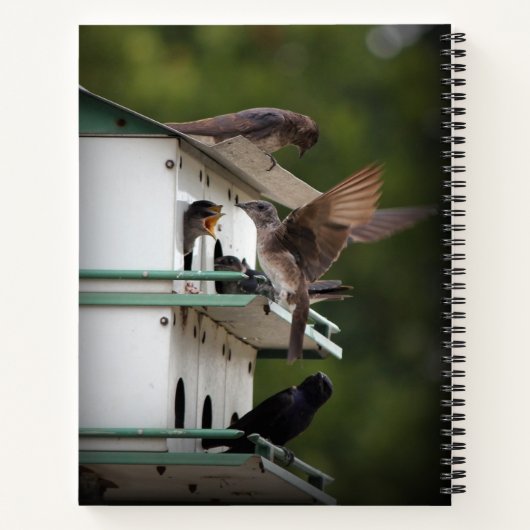 Paarse Martin Notitieboek (Achterkant)